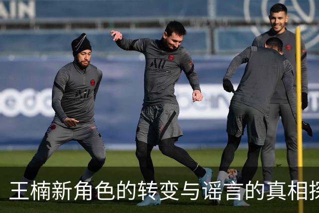 王楠新角色的转变与谣言的真相探讨