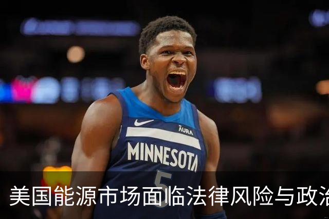 美国能源市场面临法律风险与政治复杂性分析